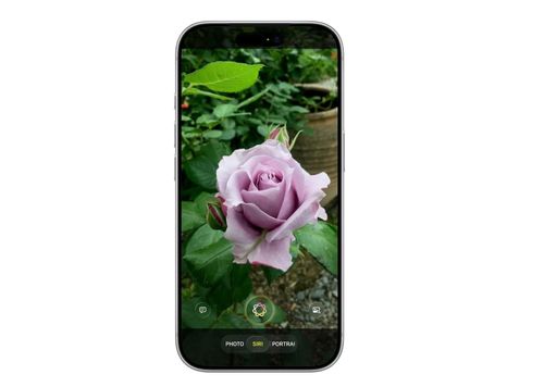  Siri trên iOS 27 có thể được tích hợp vào ứng dụng camera. Ảnh: Bloomberg. 