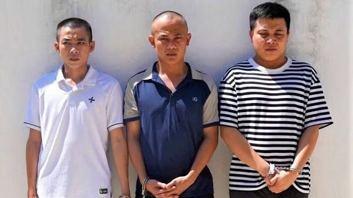 Các đối tượng Nguyễn Đăng Dũng, Phạm Văn Tùng và Nguyễn Đăng Hiếu. (Ảnh: Công an Nghệ An)