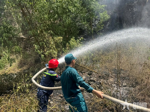 Các lực lượng triển khai dập lửa, ngăn không để lửa lan sang khu vực rừng lân cận.