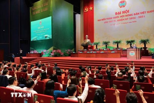 Các đại biểu biểu quyết thông qua Chương trình làm việc của Đại hội. (Ảnh: Lê Đông/TTXVN)