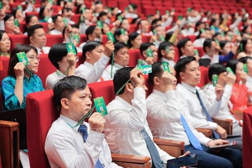 Các đại biểu biểu quyết thông qua Chương trình làm việc của Đại hội. Ảnh: Lê Đông/TTXVN
