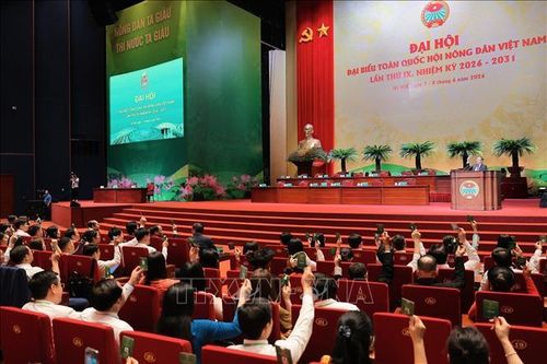 Các đại biểu biểu quyết thông qua Chương trình làm việc của Đại hội. Ảnh: Lê Đông/TTXVN