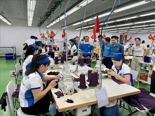 Toàn cảnh Hội thi tay nghề may giỏi năm 2026 tại Công ty TNHH Sakurai Việt Nam.