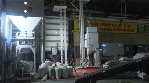 Dây chuyển sản xuất gạo của Công Ty cổ phần thương mại Sao Khuê.