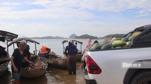 Nhưng chiếc xe từ chở đầy ắp dưa cho thấy một vụ mùa khởi sắc trên hồ Thác Bà.