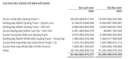 Thuyết minh báo cáo tài chính của EVN.