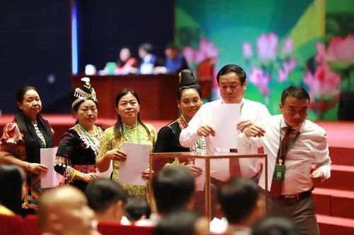 Các đại biểu tiến hành bỏ phiếu