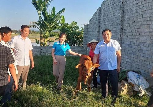Lãnh đạo xã và Hội LHPN xã Trường Văn trao bò giống cho hội viên Nguyễn Thị Dung.