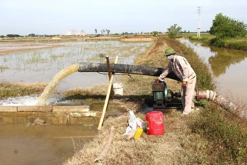 Thời gian chuyển giao và sản xuất vụ Mùa tương đối ngắn, do đó các địa phương đã xây dựng kế hoạch sản xuất từ sớm. Đồng thời, phối hợp chặt chẽ với các đơn vụ thủy nông nhằm bảo đảm nguồn nước phục vụ sản xuất và chủ động điều tiết nguồn nước theo lịch tưới của các công trình thủy lợi nhằm tạo điều kiện thuận lợi cho việc gieo trồng, chăm sóc lúa của nông dân.