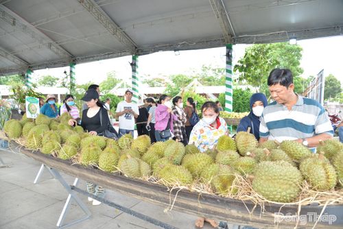 Trái cây đầy ắp phục vụ người dân đến tham quan.