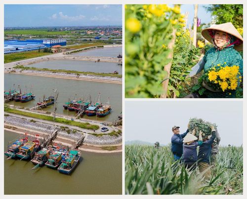 Những trái ngọt được dựng xây từ những quyết sách phát triển phù hợp, đột phá của tỉnh.