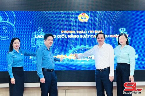 Các đại biểu thực hiện nghi thức phát động Phong trào thi đua “Lao động giỏi, năng suất cao, thu nhập tốt".