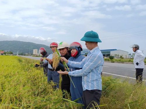 Ngoài tham gia chỉ đạo các hoạt động tự quản tại cộng đồng, người hoạt động không chuyên trách ở thôn, tổ dân phố phải tham gia các hoạt động quản lý nhà nước của chính quyền cấp xã. Ảnh: Bình Nguyên