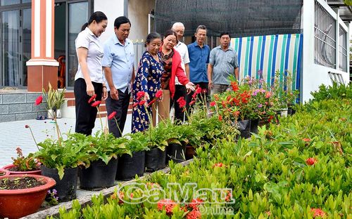 Bà Lê Thị Hoa, khóm Giao Vàm, Phường Lý Văn Lâm, tiên phong trong các phong trào xây dựng cảnh quan xanh, sạch, đẹp.
