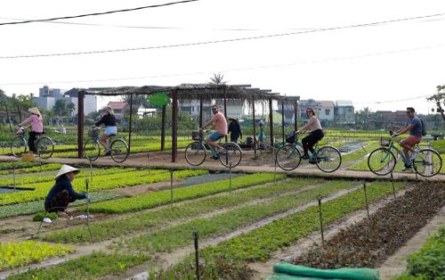 Du khách đạp xe khám phá, trải nghiệm tại làng rau Trà Quế