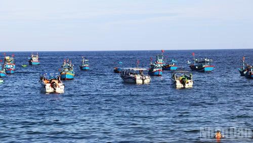 Cảng cá Nhơn Lý thu hút nhiều tàu du lịch đến đưa đón du khách.