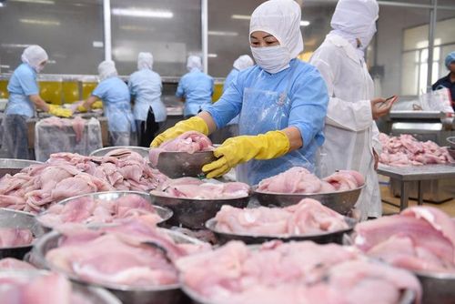 5 tháng đầu năm 2026, xuất khẩu thủy sản đạt 4,65 tỉ USD - tăng 10,6% so với cùng kỳ năm ngoái