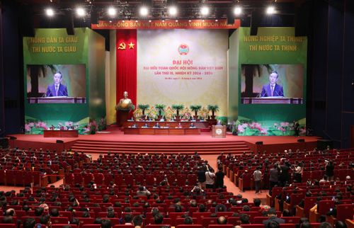 Quang cảnh đại hội sáng 8-6. Ảnh: QUANG PHÚC