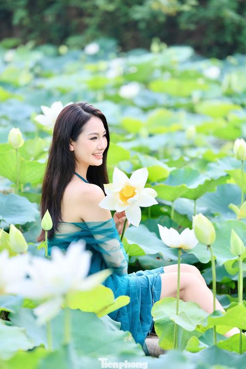 Giữa không gian thanh bình của đầm sen, nhiều bạn trẻ chụp ảnh đẹp để lưu giữ mùa sen năm nay.