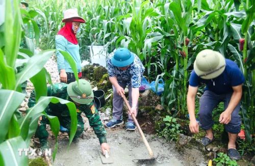 Cán bộ, chiến sỹ Đồn Biên phòng Tùng Vài cùng người dân địa phương tham gia đổ bê tông tuyến đường tại thôn Chín Sang, xã Tùng Vài (Tuyên Quang). (Ảnh: Hoàng Chính/TTXVN phát)