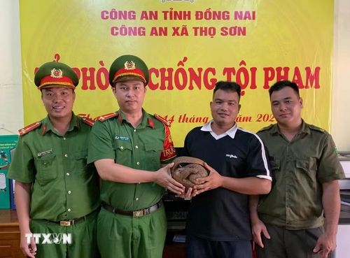 Anh Điểu Khanh (thứ 2, từ phải qua), giao nộp cá thể Tê Tê Java, có trọng lượng khoảng 3kg cho cơ quan công an xã Thọ Sơn. (Ảnh: Đậu Tất Thành/TTXVN)