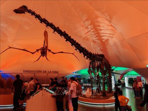 Bộ xương khủng long Diplodocus là một trong những hiện vật nổi bật thu hút đông đảo du khách tại Bảo tàng Lịch sử Tự nhiên và Văn hóa Môi trường ở thủ đô Mexico City.