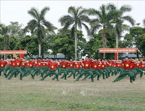 Màn đồng diễn võ thuật, thể dục quân sự của chiến sĩ mới Trung đoàn Bộ binh 24 tại buổi lễ. Ảnh: Hoàng Hùng/TTXVN