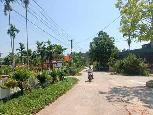 Nhiều tuyến đường giao thông ở thôn 6, xã Thọ Bình được mở rộng, tạo cảnh quan xanh, sạch, đẹp.