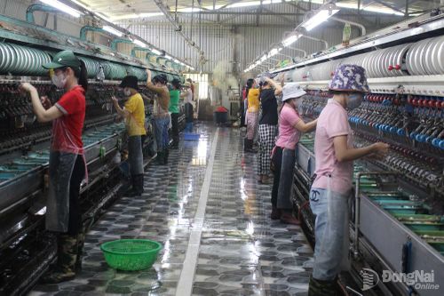 Người lao động làm việc tại một hợp tác xã sản xuất và dịch vụ nông nghiệp tại xã Đak Lua. Ảnh minh họa