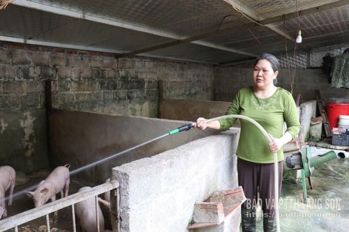 Người dân phường Kỳ Lừa chủ động vệ sinh khu vực chăn nuôi giúp chuồng trại luôn thông thoáng, mát mẻ