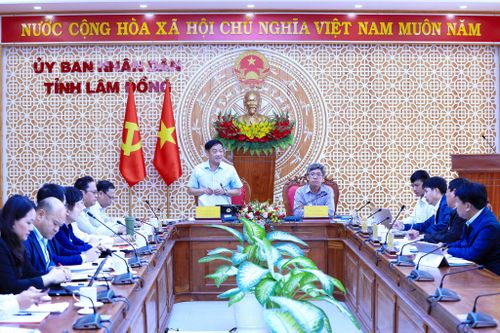 Phó Chủ tịch Thường trực UBND tỉnh Lâm Đồng Lê Trọng Yên và Phó Chủ tịch UBND tỉnh Nguyễn Minh chủ trì buổi làm việc gỡ vướng các dự án của Novaland