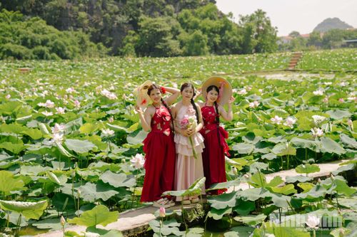 Du khách thích thú trải nghiệm và lưu giữ những bức ảnh kỷ niệm tại đầm sen Hang Múa.