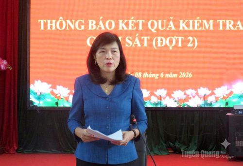 Đồng chí Phạm Thị Minh Xuân, Phó Chủ tịch HĐND tỉnh chủ trì buổi làm việc với BTV Đảng ủy xã Vĩnh Tuy.