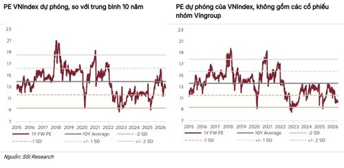 Định giá P/E của VN-Index.