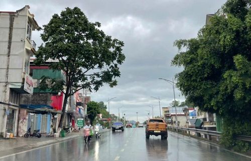 Chiều tối đêm nay đến sáng ngày mai 9/6, các địa phương trong tỉnh có mưa rào và dông rải rác, cục bộ có nơi mưa to.