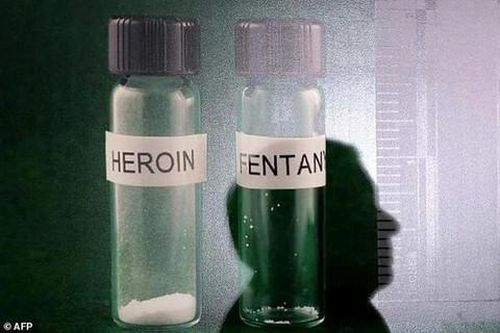 Fentanyl tổng hợp có dược lực mạnh gấp 50 lần so với Heroin