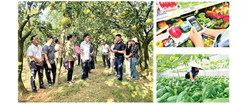 Báo chí không chỉ dừng lại ở vai trò phản ánh thông tin một chiều, mà đã trở thành người mở đường, tri thức hóa nông dân. Ảnh minh họa.