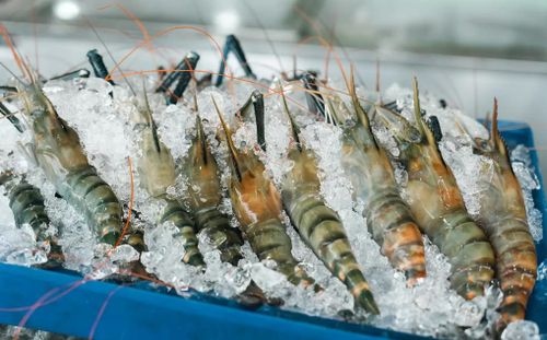 Ngành tôm Thái Lan từng giữ vị trí nhà xuất khẩu tôm lớn nhất thế giới, nhưng đã suy giảm mạnh trong khoảng 15 năm qua do các đợt bùng phát dịch bệnh và sự cạnh tranh từ các quốc gia khác