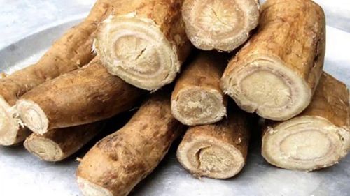 Sắn dây là loài cây dây leo thuộc họ Đậu, là loại cây quen thuộc trong đời sống người Việt (Ảnh minh họa)