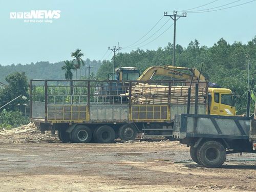 Trạm cân thu mua keo tràm trái phép nằm ven tỉnh lộ 14B (xã Hưng Lộc, TP Huế)