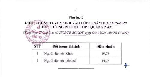Ảnh: Tin giáo dục Đà Nẵng