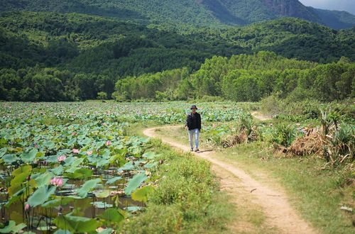 Những con đường đất dẫn vào đầm sen Trà Lý. Ảnh: CĐ.