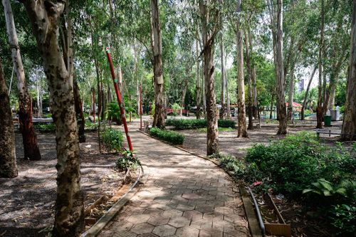  Khu vực cây xanh nằm gần nhà truyền thống và bia tưởng niệm các liệt sĩ được cho là một trong những vị trí nghi có hố chôn tập thể các chiến sĩ hy sinh. 