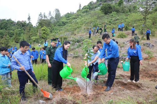 Các hoạt động nổi bật trong chương trình.