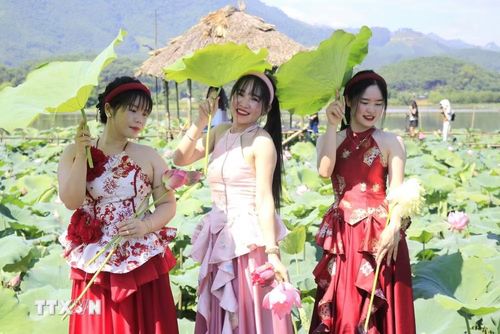 Đầm sen Vân Hội ở xã Việt Hồng là điểm đến lý tưởng hấp dẫn du khách. (Ảnh: Đinh Thùy/TTXVN)