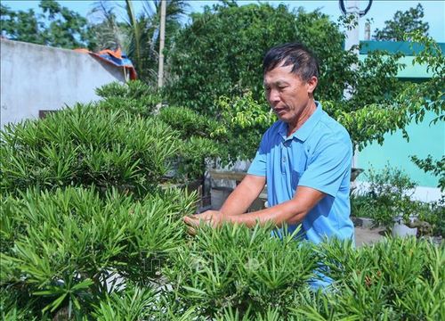 Cựu chiến binh Đỗ Đình Giao chăm sóc vườn cây cảnh của gia đình.