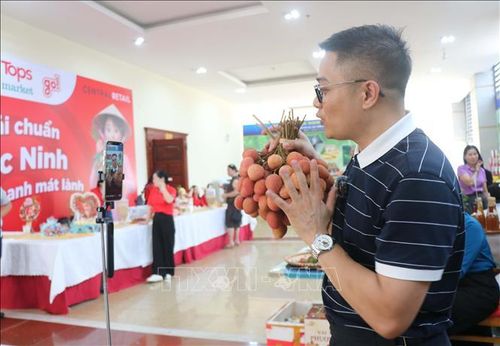 TikToker livestream quảng bá, bán vải thiều trên nền tảng thương mại điện tử. Ảnh: Thanh Thương/TTXVN