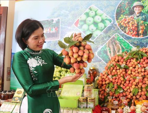 Xã Phúc Hòa (Bắc Ninh) quảng bá, giới thiệu nông sản địa phương. Ảnh: Thanh Thương/TTXVN