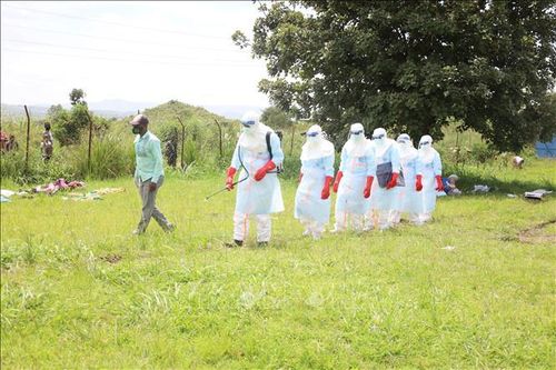 Nhân viên y tế tiến hành khử trùng để ngăn chặn sự lây lan của virus Ebola tại thị trấn Rwampara, tỉnh Ituri, CHDC Congo. Ảnh: THX/TTXVN.