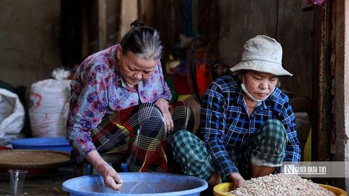 Nghề ép dầu phụng còn tạo việc làm thời vụ cho nhiều lao động địa phương trong những tháng nông nhàn.